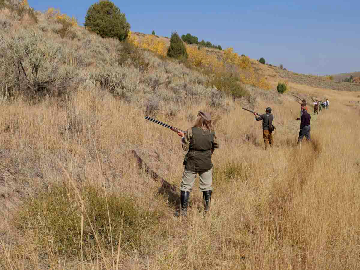 Group in Line Pheasant Hunting at Lazy Triple Creek Idaho Cast and Blast Lodge