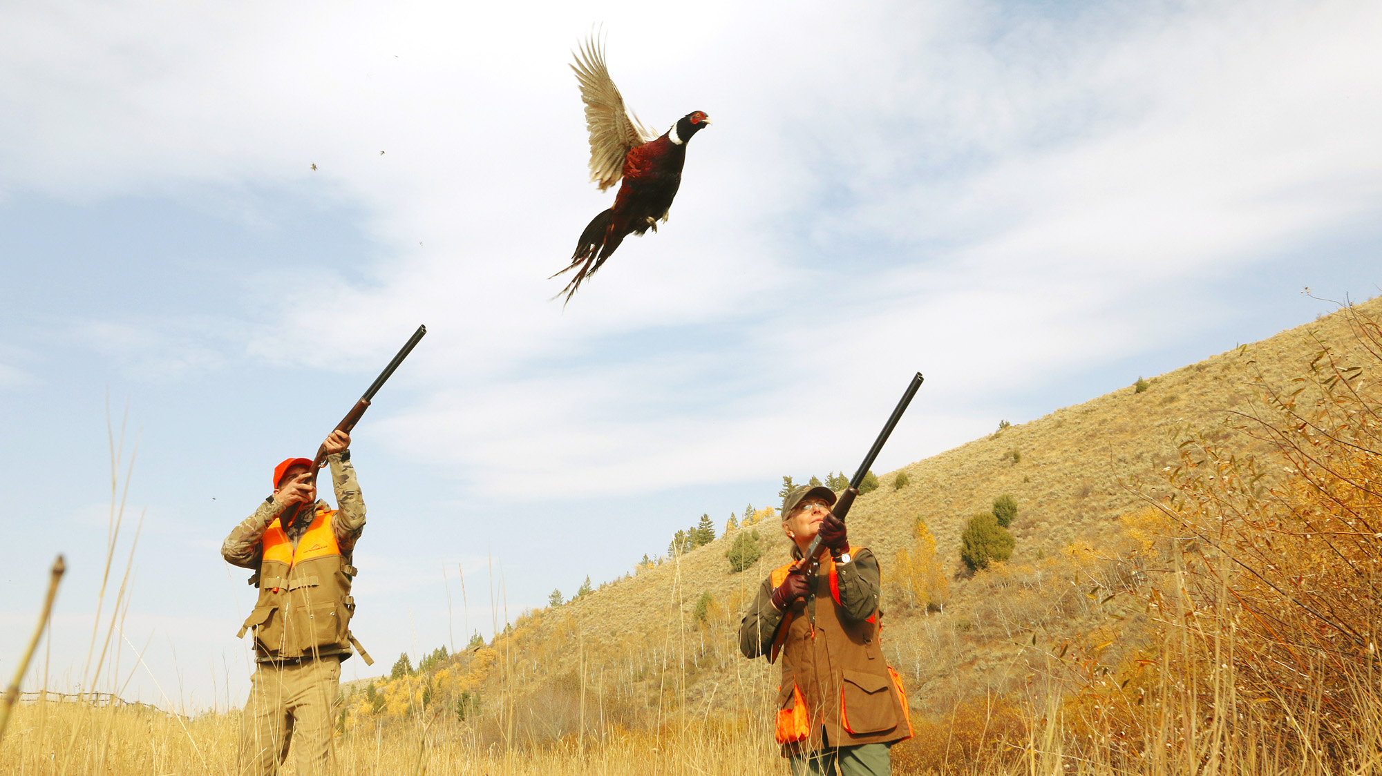 Man and Woman Pheasant Hunting at Lazy Triple Creek Cast and Blast Lodge