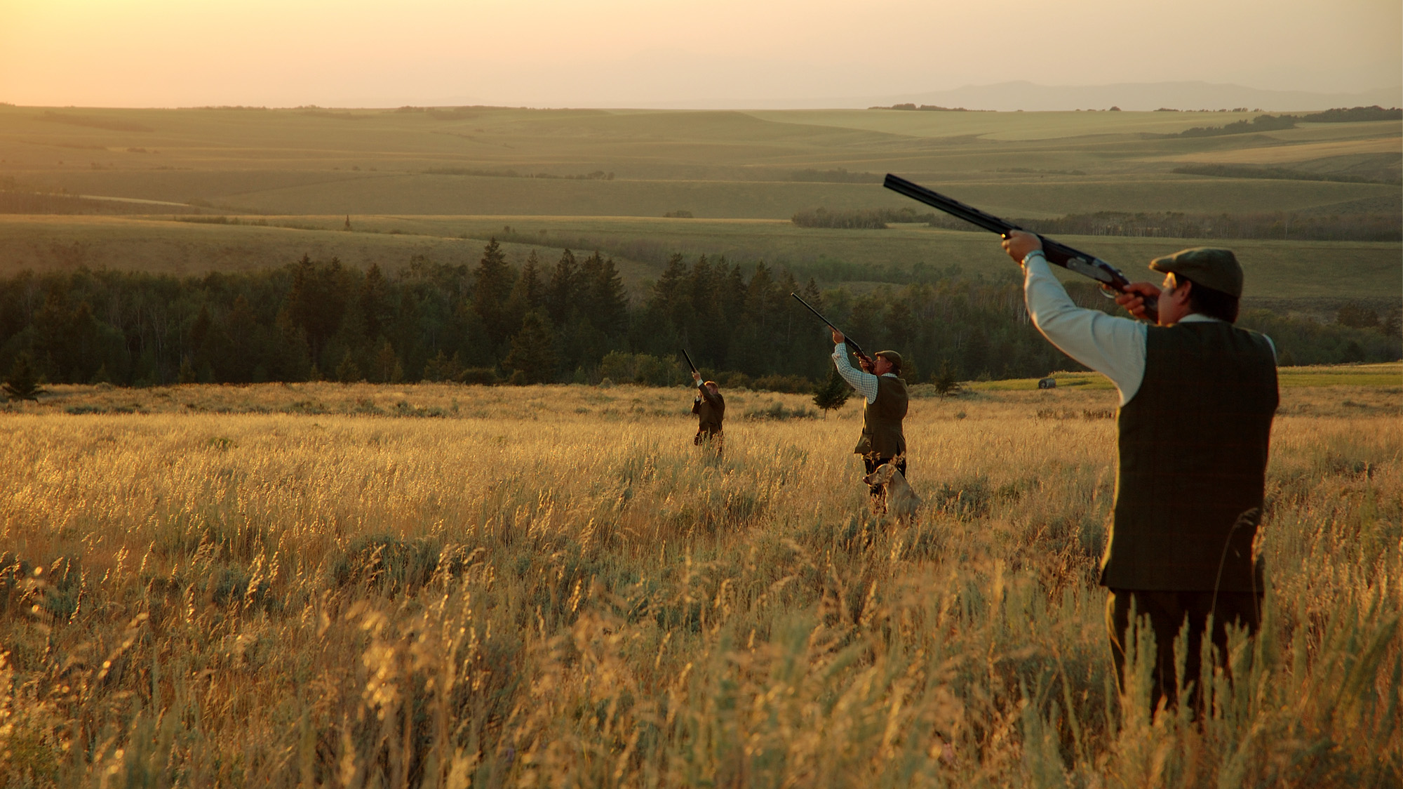 Three Executives Driven Shooting in Field on Corporate Pheasant Hunting Retreat at Lazy Triple Creek Ranch