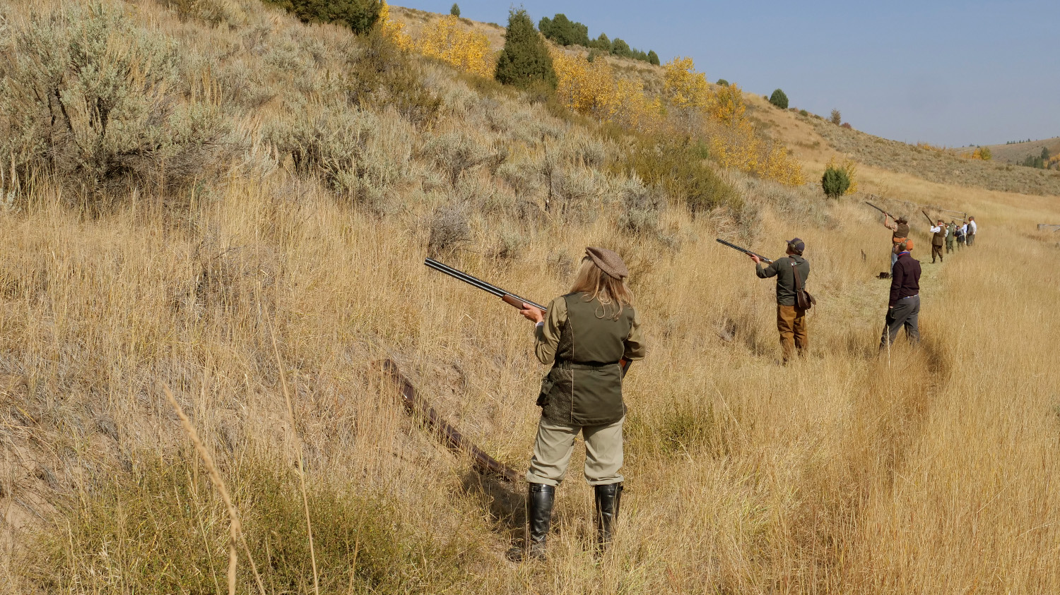 Group in Line Pheasant Hunting at Lazy Triple Creek Idaho Cast and Blast Lodge
