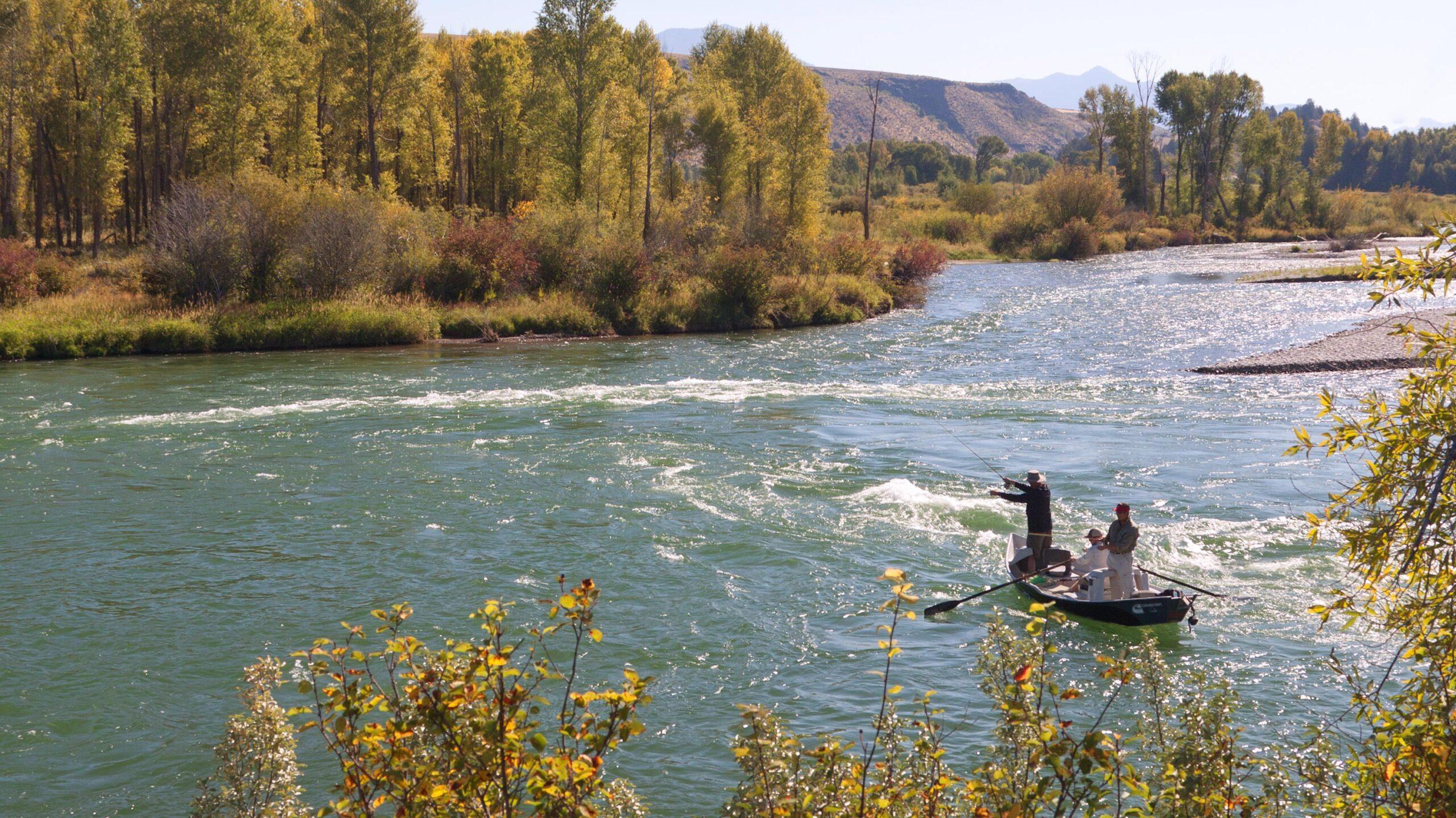 Aerial View of Man Casting from Boat During Guided Fly Fishing in Idaho