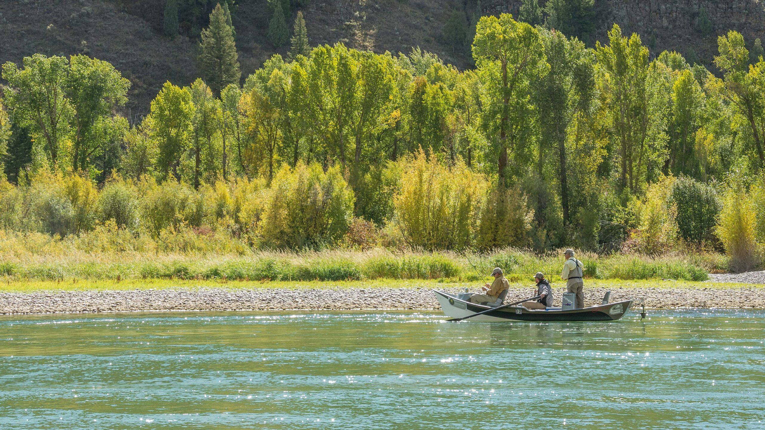 World class fly fishing combined with world class clays shooting.