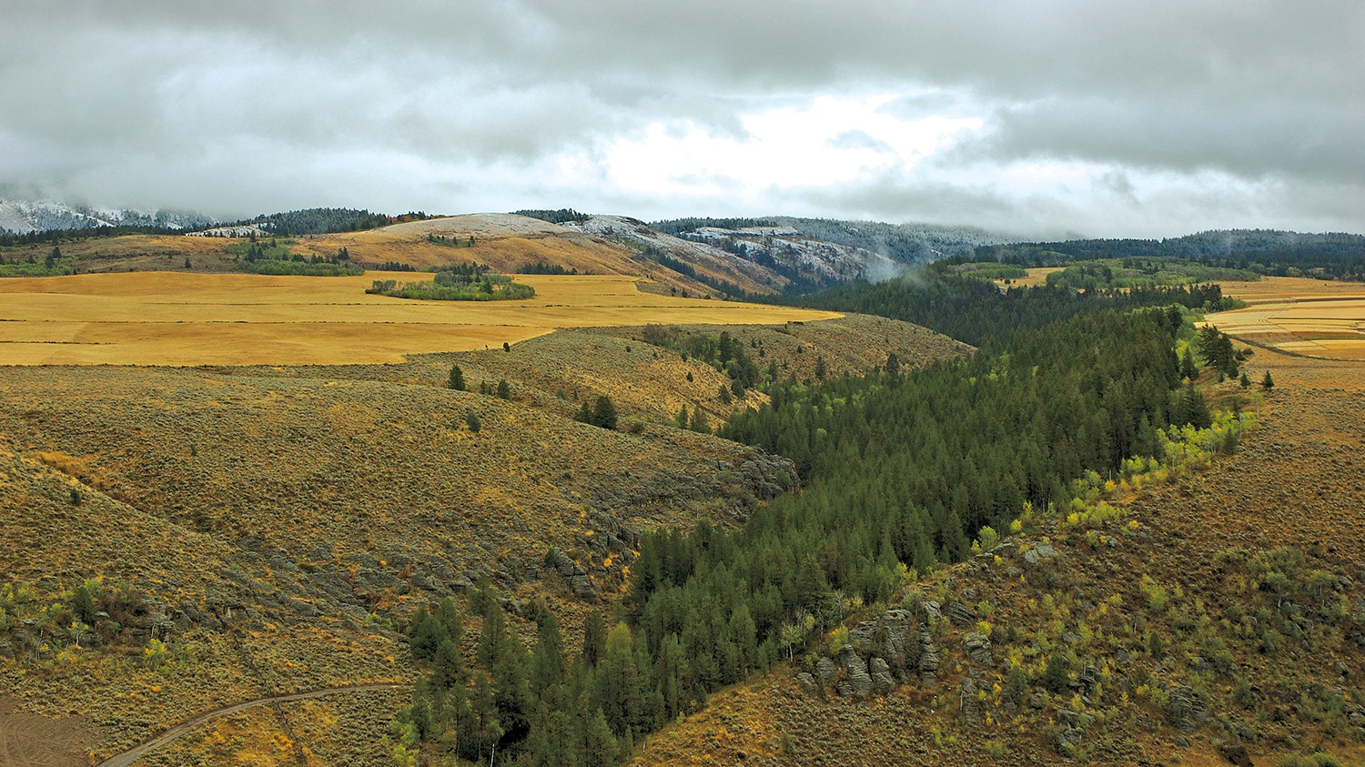 View of the Big Hole Mountains with a dusting of snow